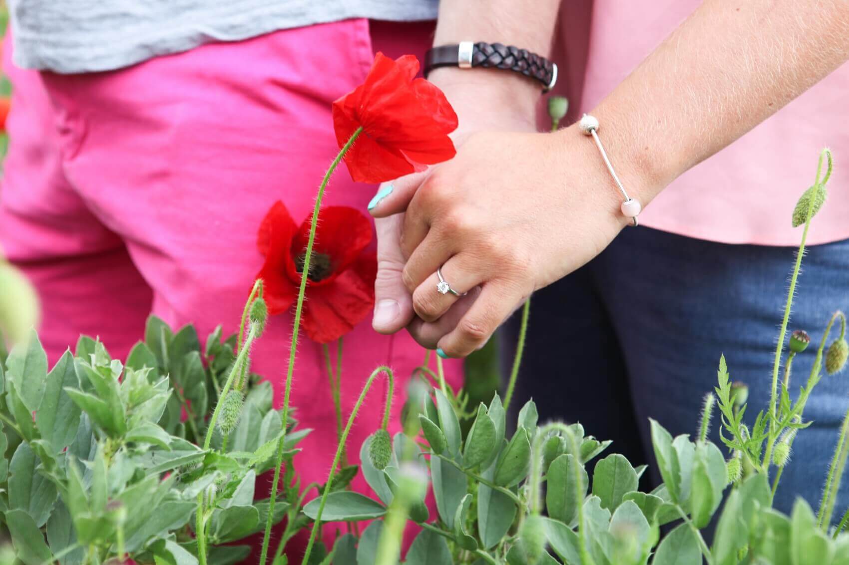 Poppies with engagement rings in Bedfordshire 