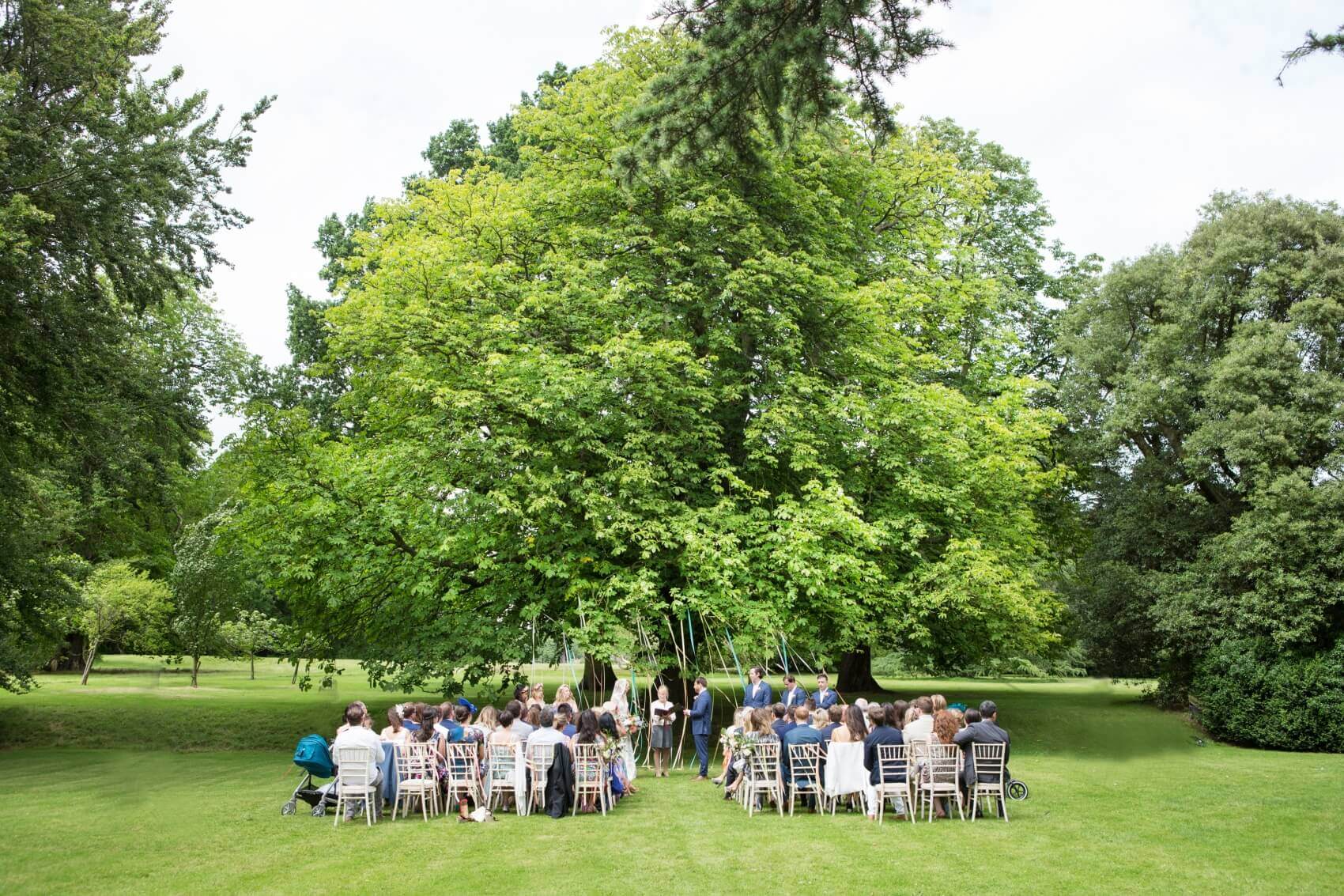 Outdoor wedding ceremony under an old tree with ribbons