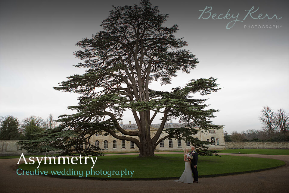 An example of using Asymmetry in creative wedding photography