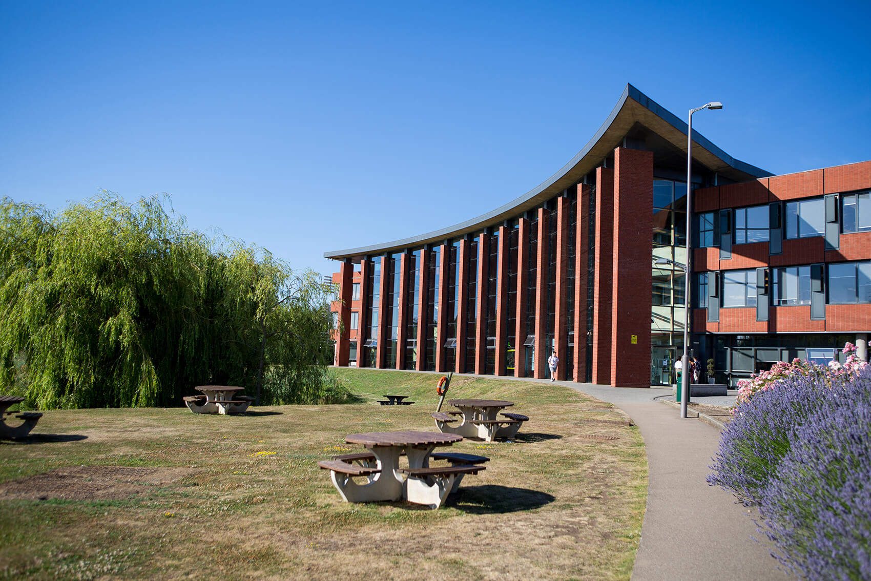 Building behind grass with benches on it