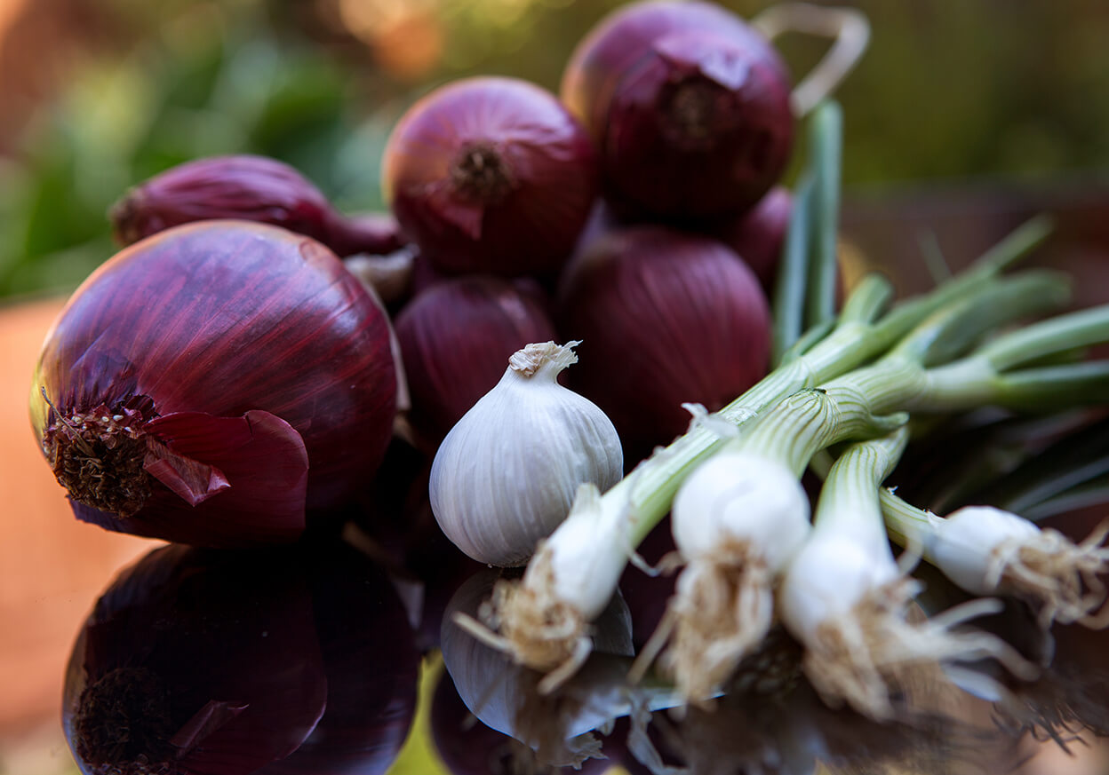 Variety of types of onions and garlic on a table