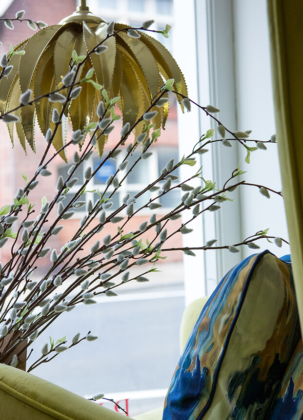 Flowers in front of a lamp shade and window