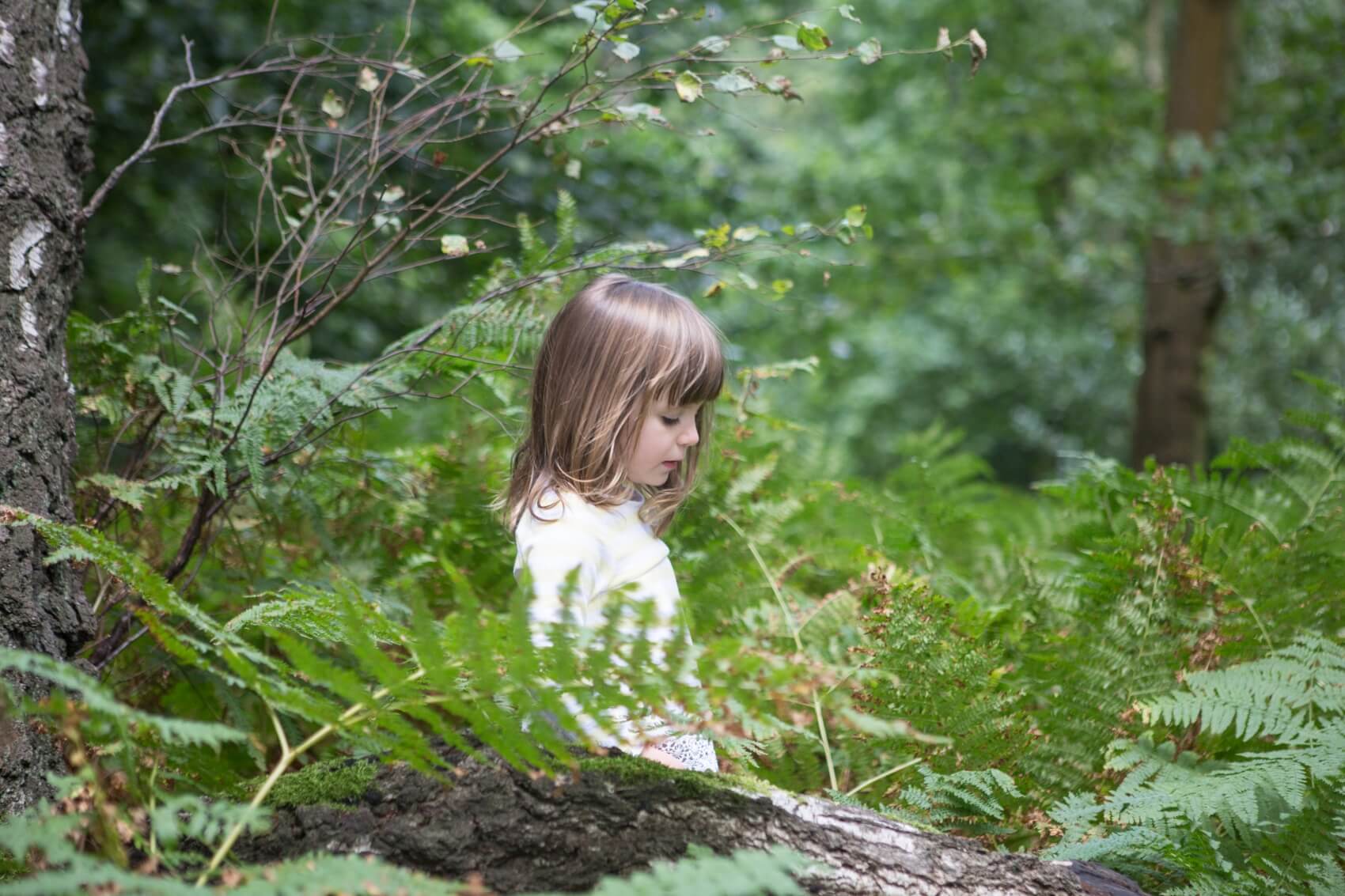 Ampthill park in the summer